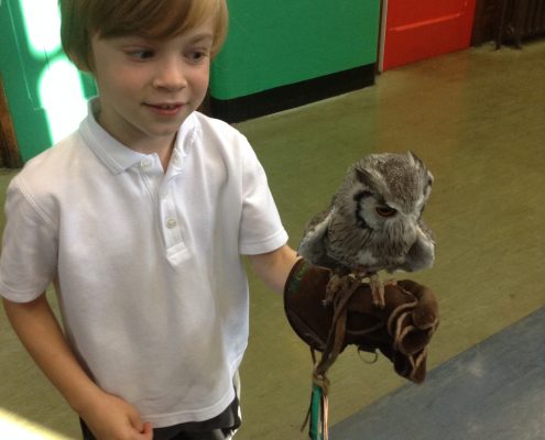 Owl Visit 2016