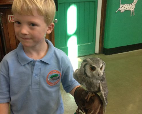 Owl Visit 2016