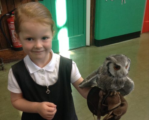 Owl Visit 2016