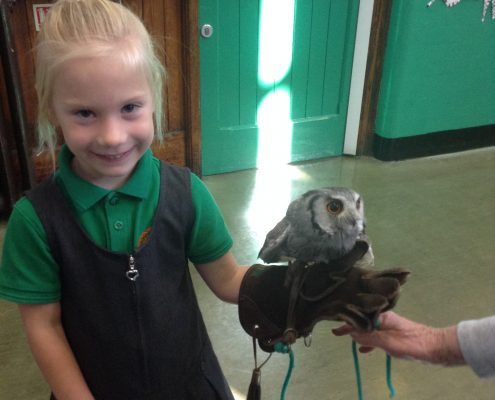 Owl Visit 2016