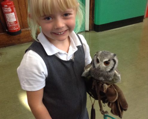 Owl Visit 2016
