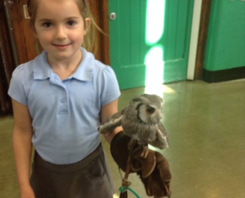Owl Visit 2016