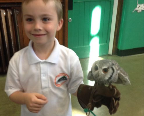 Owl Visit 2016