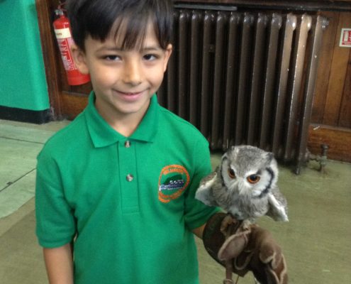 Owl Visit 2016