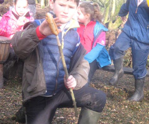 Stone Age Day 2017