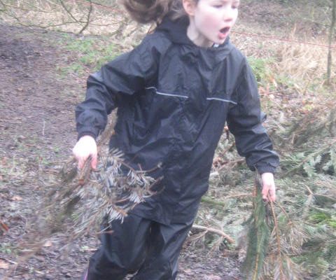 Stone Age Day 2017