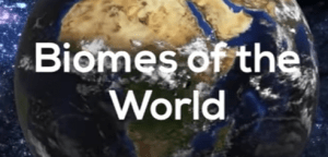 Biomes of the world